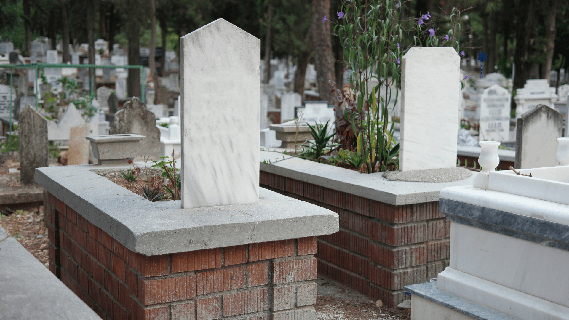 Funeral Assistant